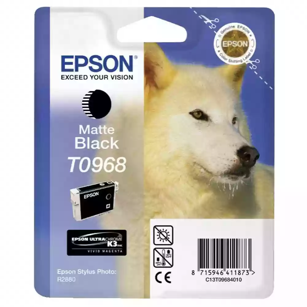 Epson Husky Light Light Black Ink T0969 for R2880