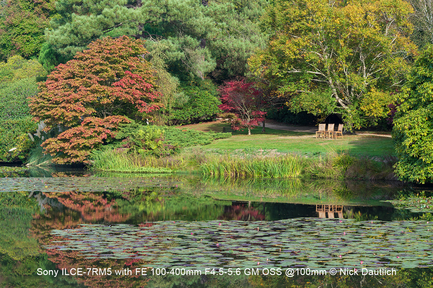 Gardens. Sony ILCE-7RM5 with FE 100-400mm F4.5-5.6 GM OSS @100mm © Nick Dautlich