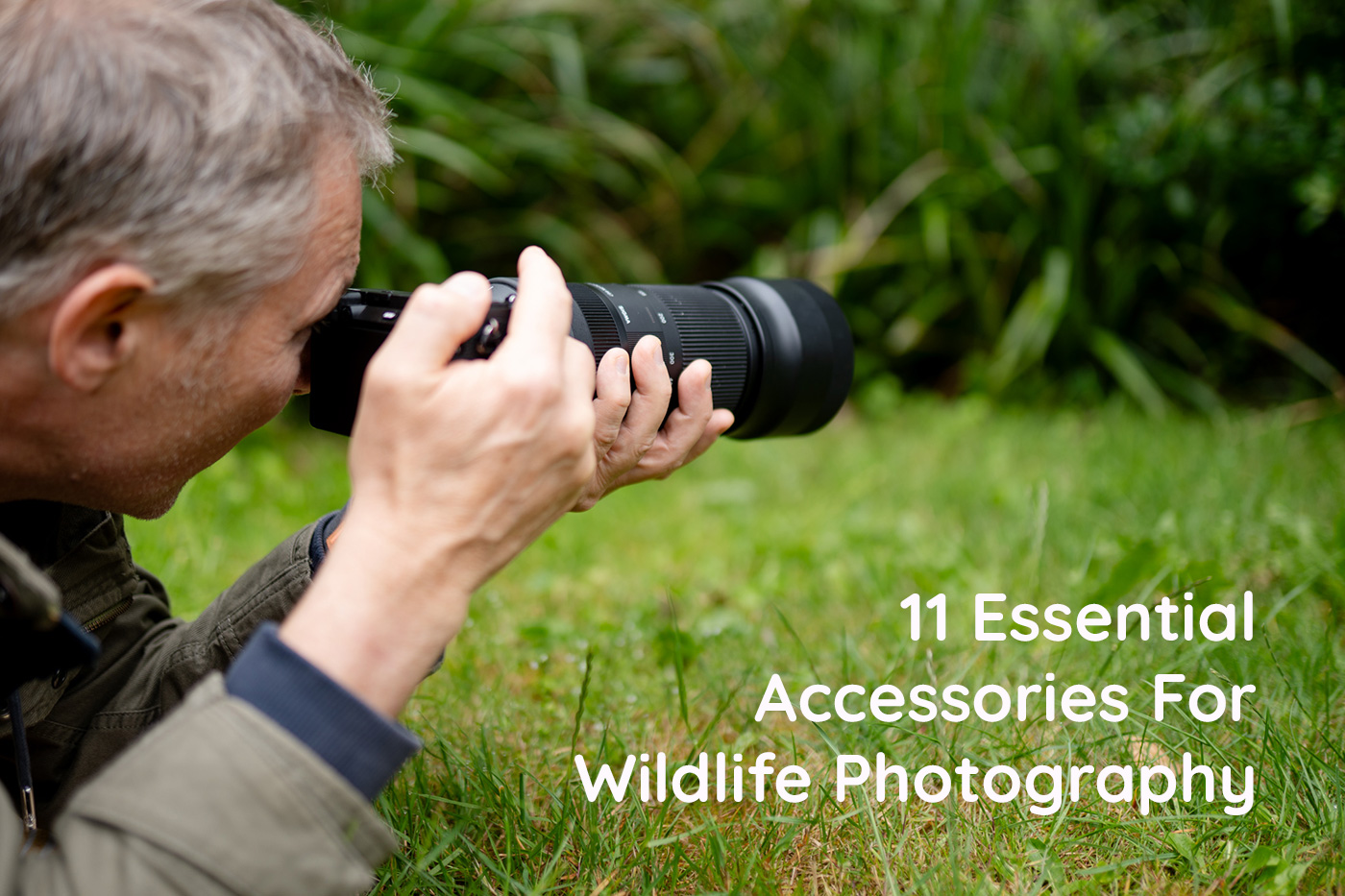 11 Essential Accessories For Wildlife Photography