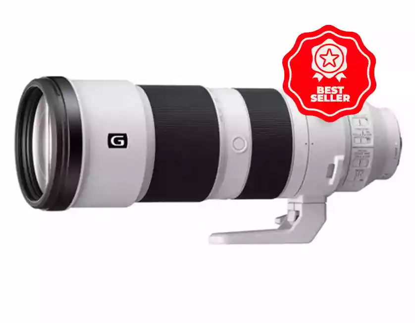 The Sony FE 200-600mm f/5.6-6.3 was the biggest selling lens of the year