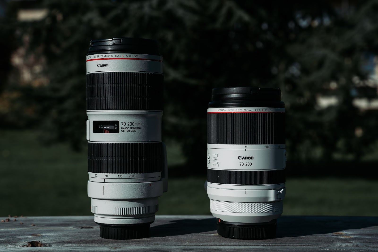 Lens is. Canon RF 70-200mm f2.8l. Canon RF 70-200. Canon r 70 200. Canon Rp 70-200.