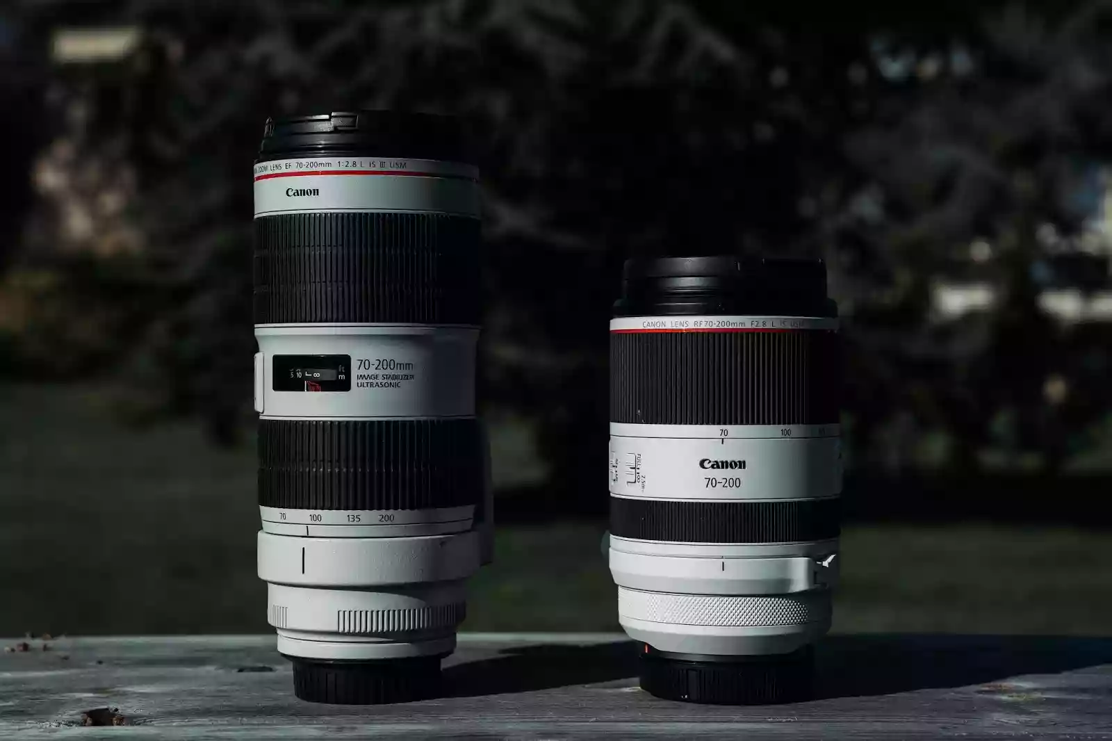 Two new Canon RF Lenses