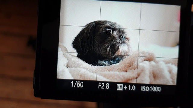 Sony A7RII