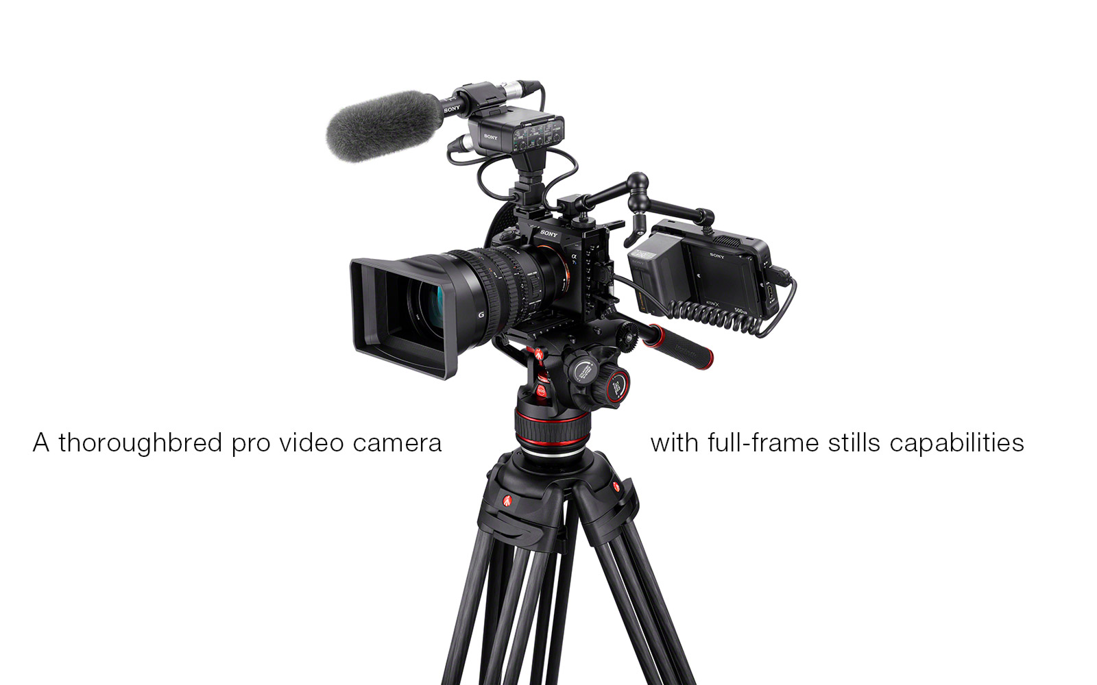 SONY A7S III SPECS AND COMPARISON