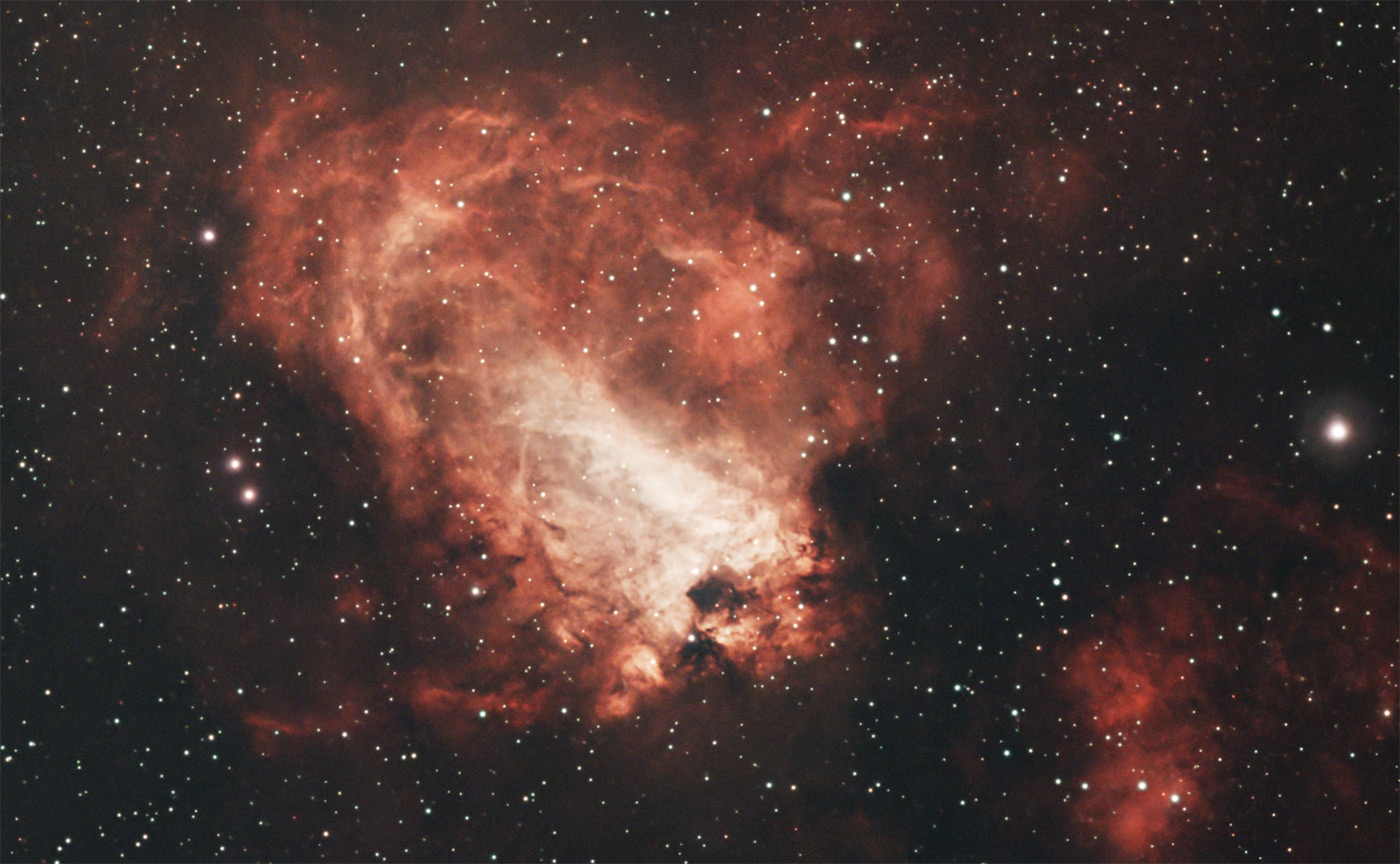 Swan Neblua image