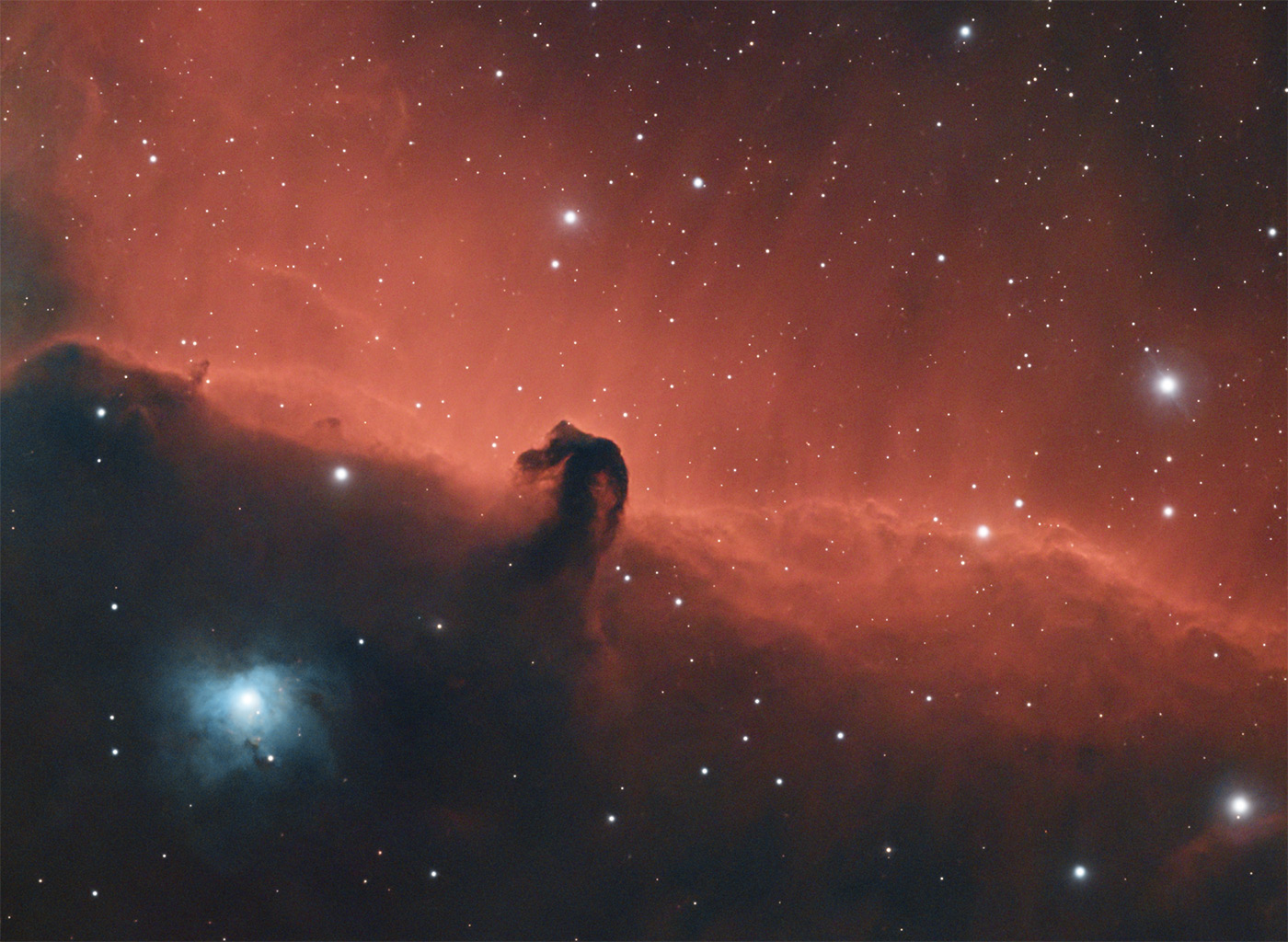 Horsehead