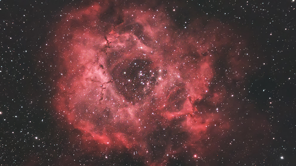 Rosette Nebula