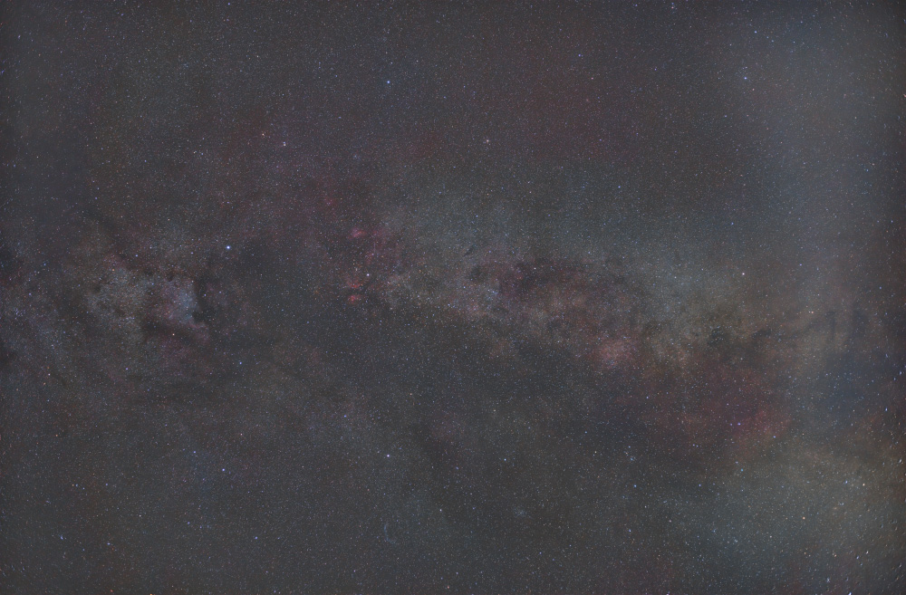 Cygnus