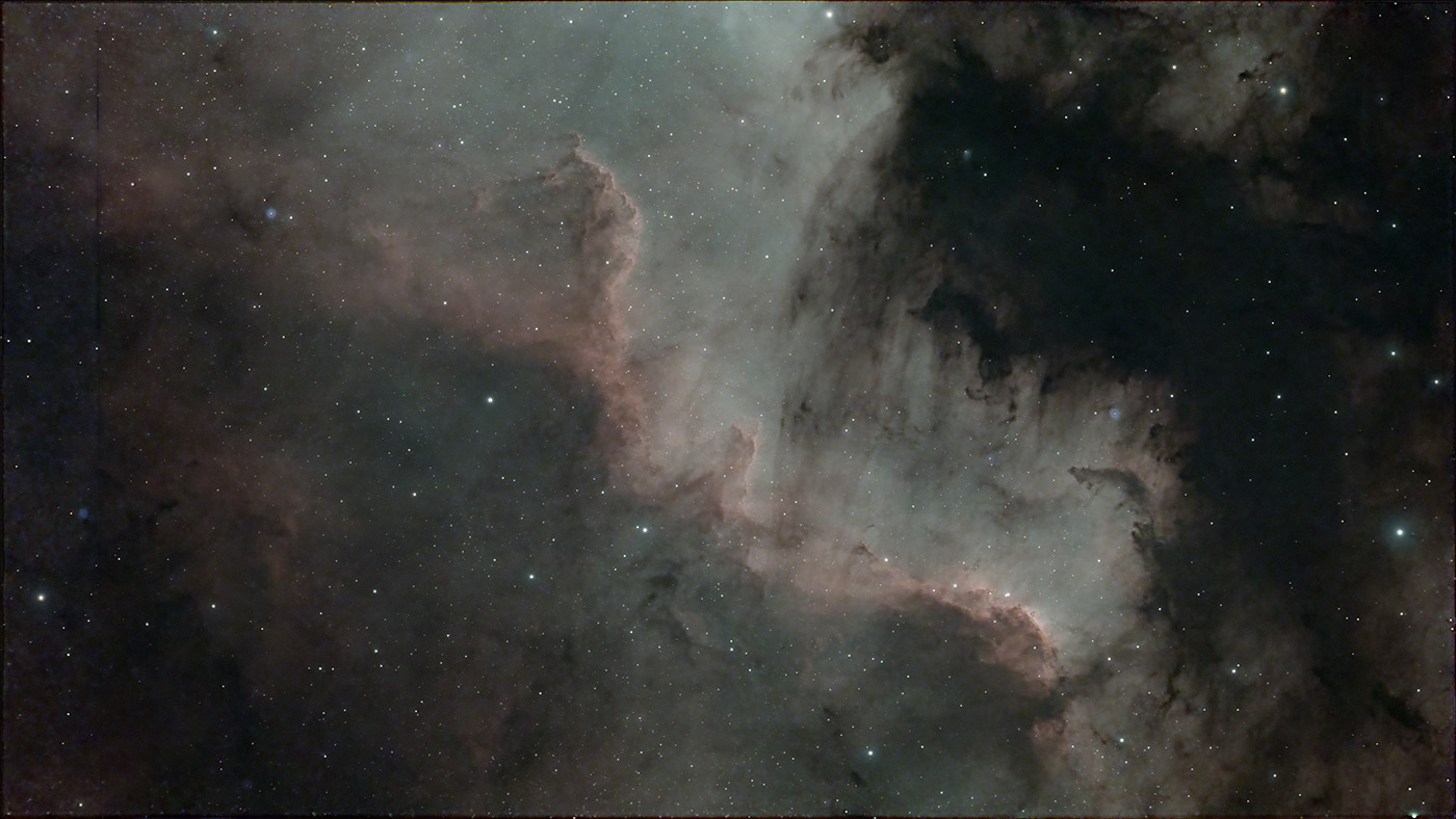 Cygnus wall