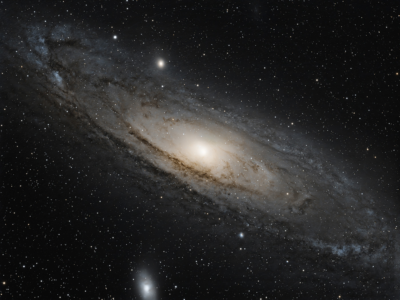 Draco M31