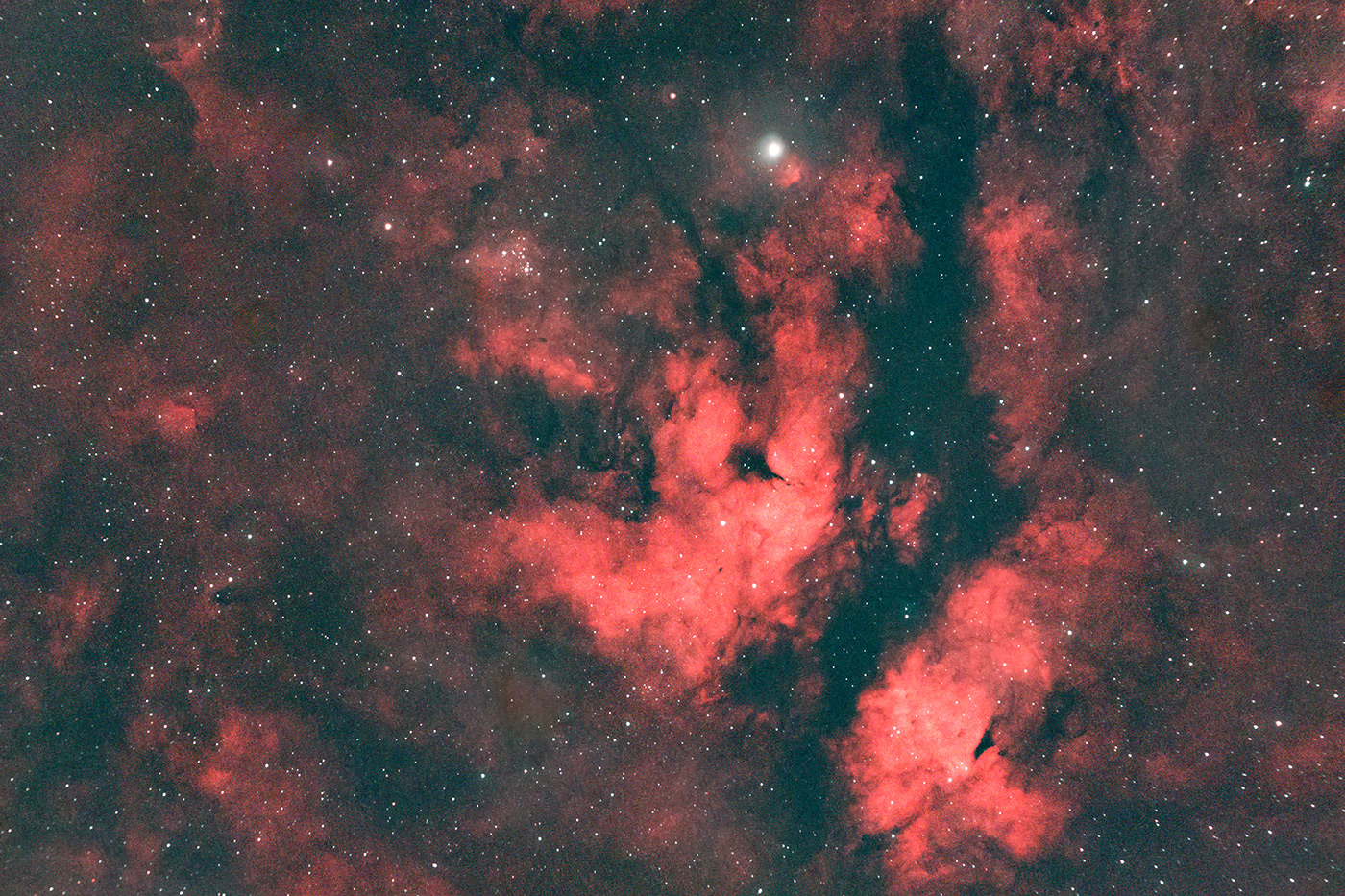 Butterfly Nebula
