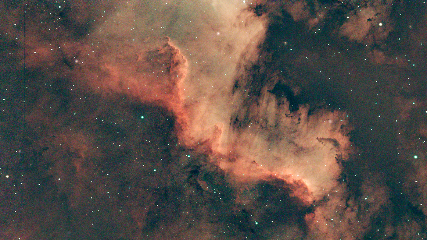The Cygnus Wall