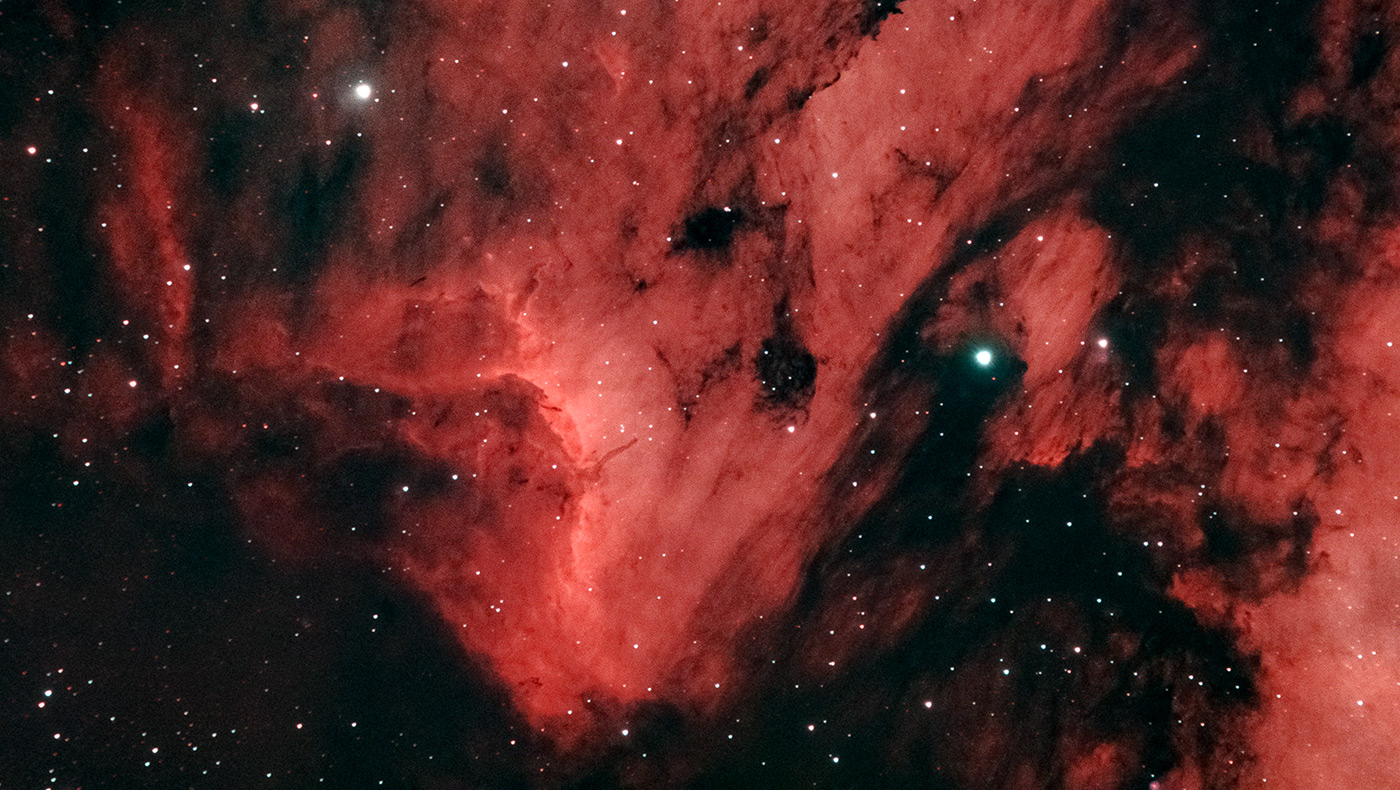 Back of the Pelican’s Head