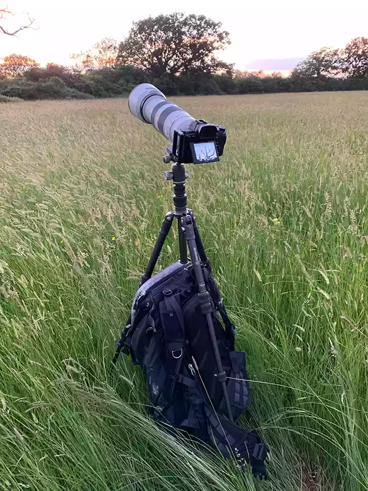 Using a long telephoto zoom on this compact tripod