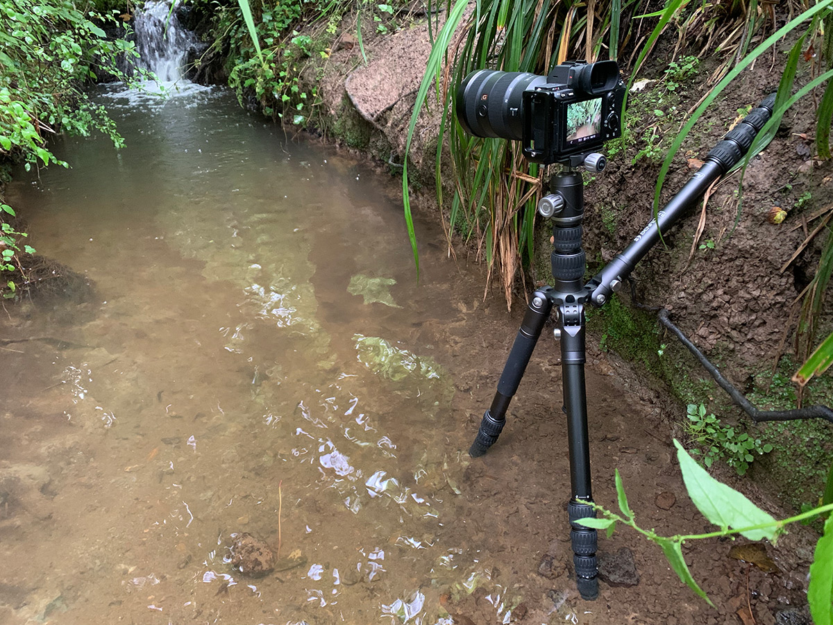 The Bat party trick with vertical legs