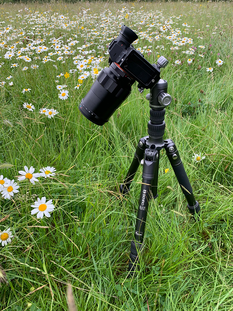 Macro with the bat tripod and macro lens