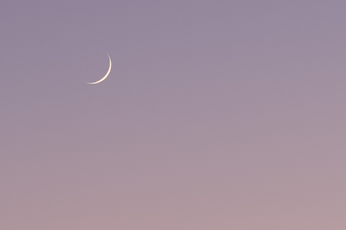 Crop showing pin sharp results