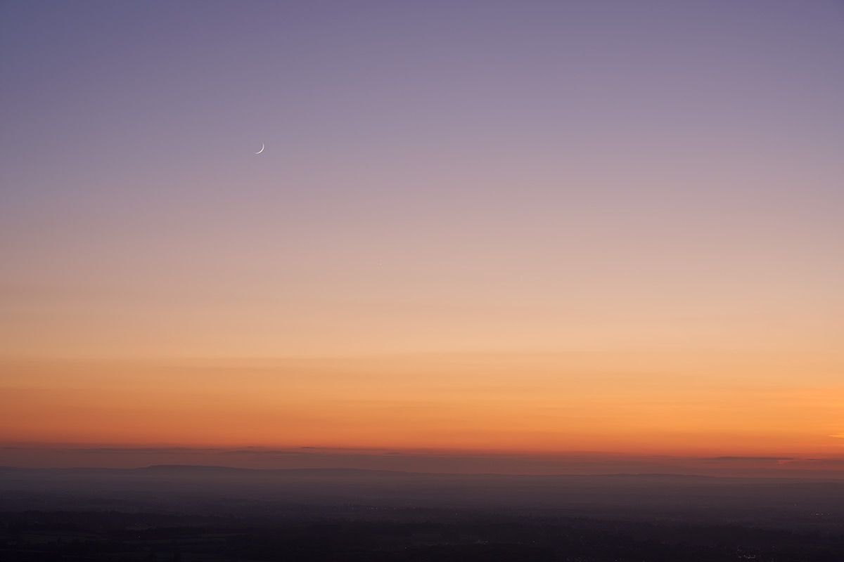 Benro Tortoise 35C And GX35 Head, low to the ground