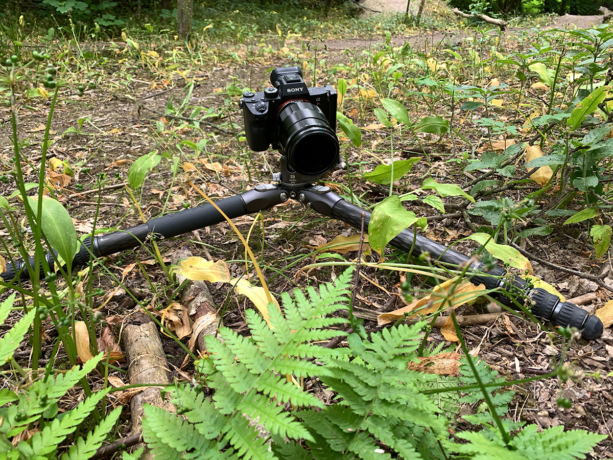 Shooting macro low to the ground with no centre column