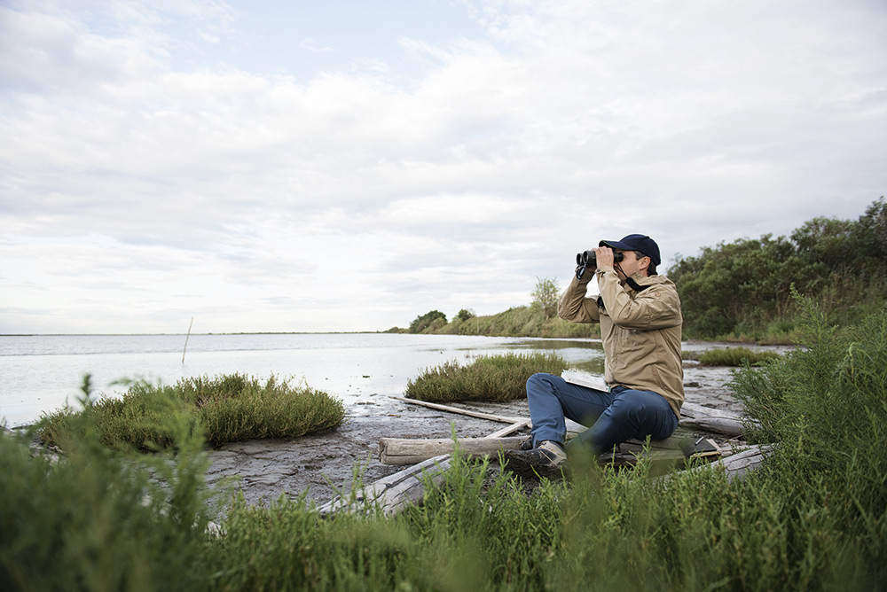 Wildlife observation in wetlands using Binoculars