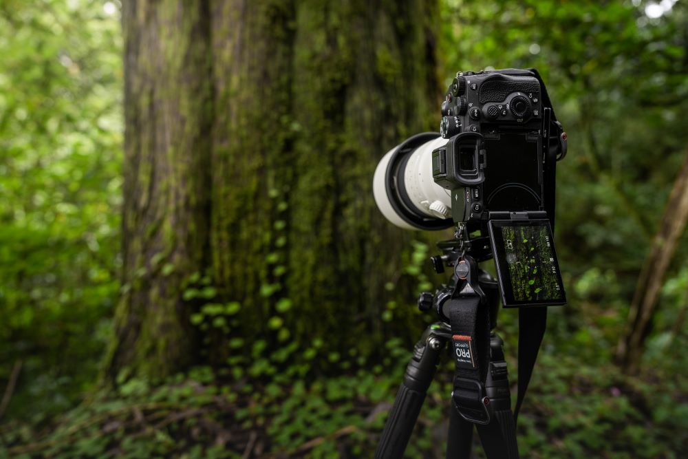 Using a tripod for nature