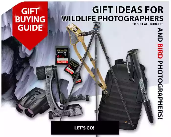 Best gifts for wildlife and bird photographers