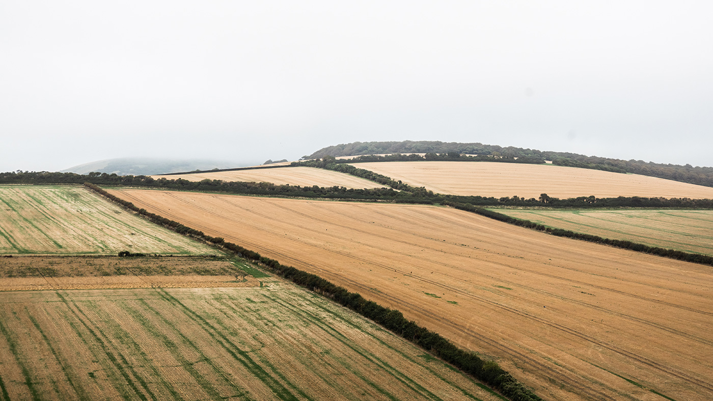 Sample image fields in fog