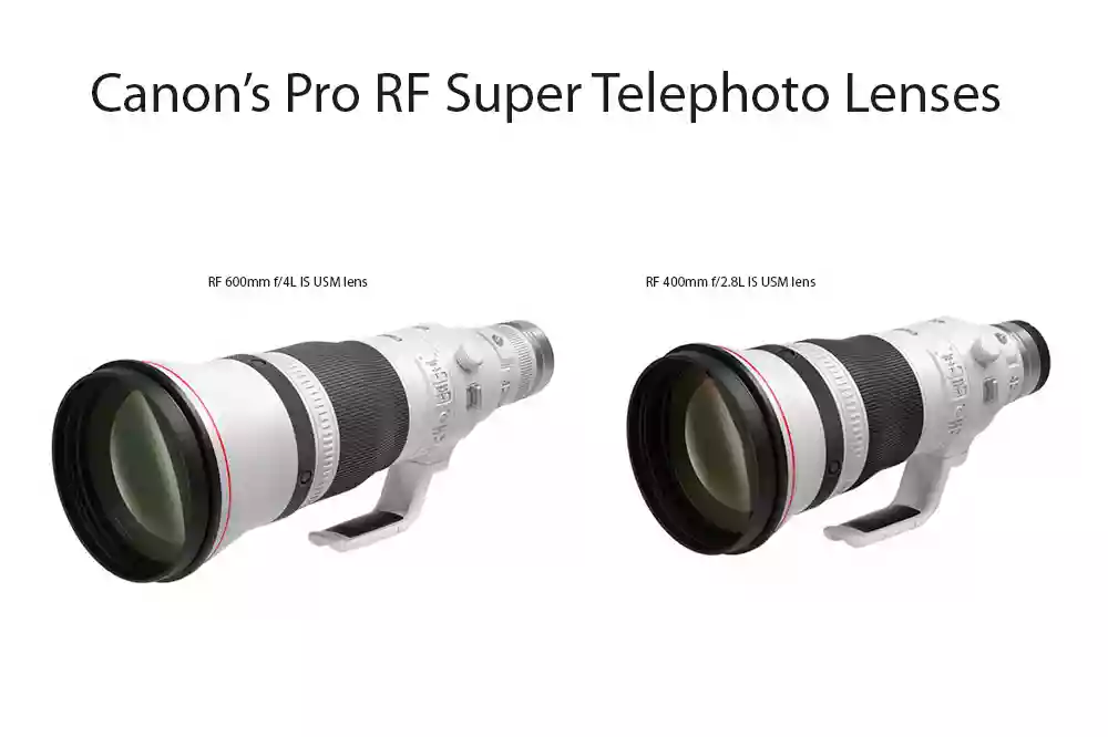 the two new Canon Pro RF 400mm F2.8 And RF 600mm F4 Super Telephoto Prime Lenses