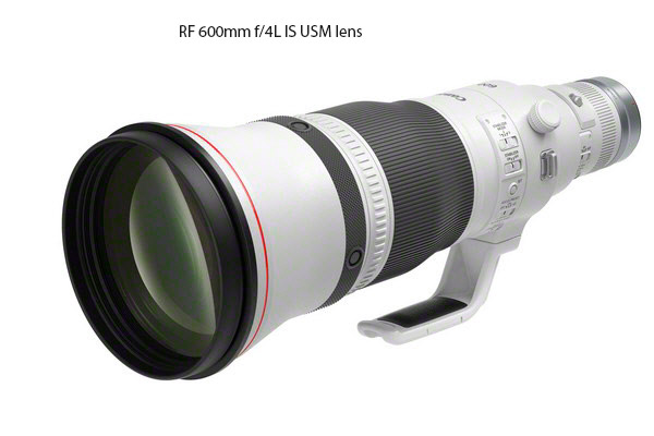 Canon RF 600mm f/4L IS USM lens