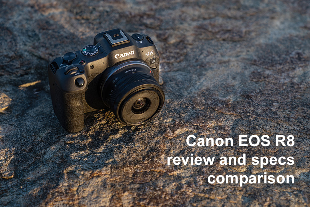Canon EOS R8 review with specs comparison
