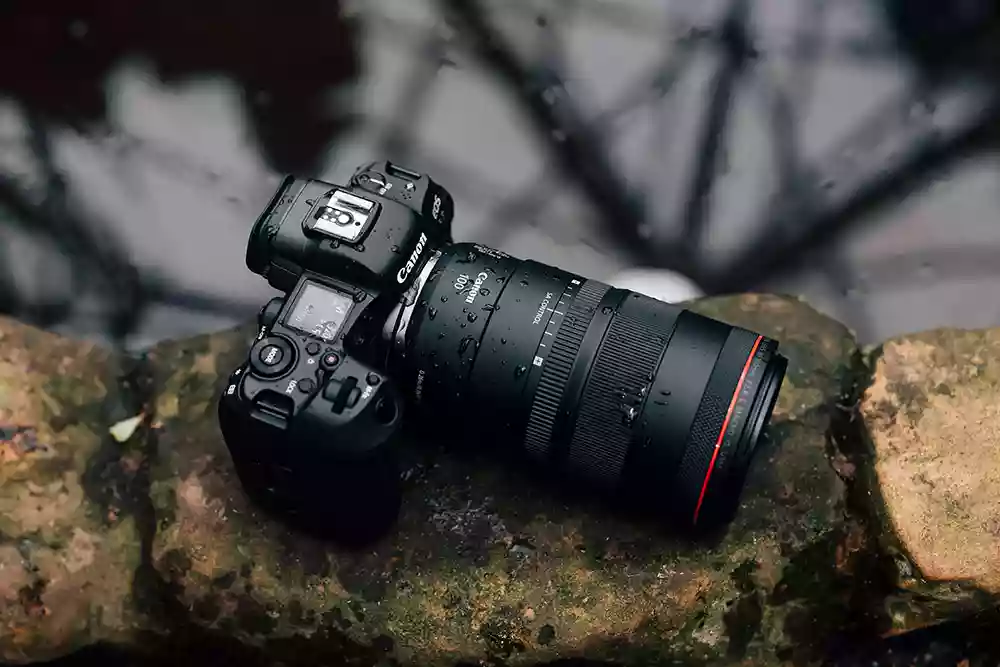 Review of the new Canon RF 100mm f/2.8L Macro IS USM Lens
