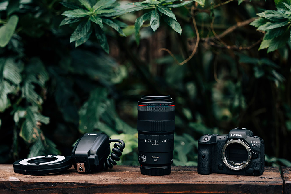 Accessories for the 100mm RF macro lens including ring light