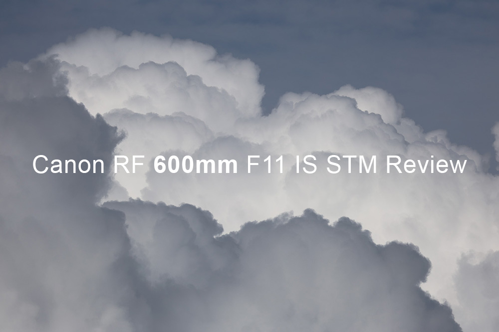 Canon RF 600mm F11 IS STM Review