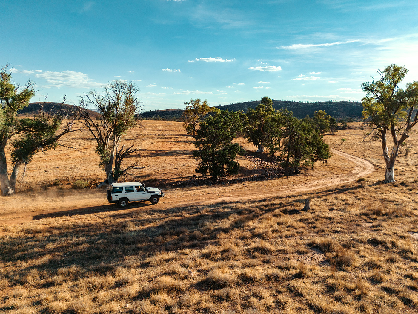 DJI Lito X1 Sample 01. Captured at 24mm equivalent. Exposure settings: 1/2500 sec. f/1.7. ISO 200