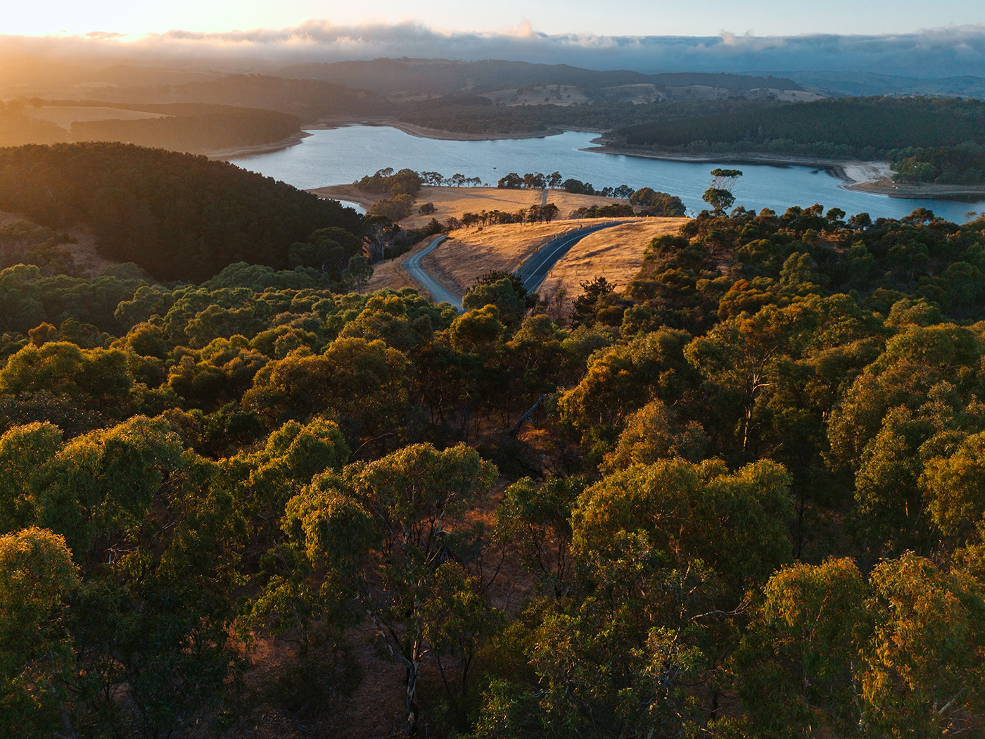 DJI Lito X1 Sample 02. Captured at 24mm equivalent. Exposure settings: 1/50 sec. f/1.7. ISO 200