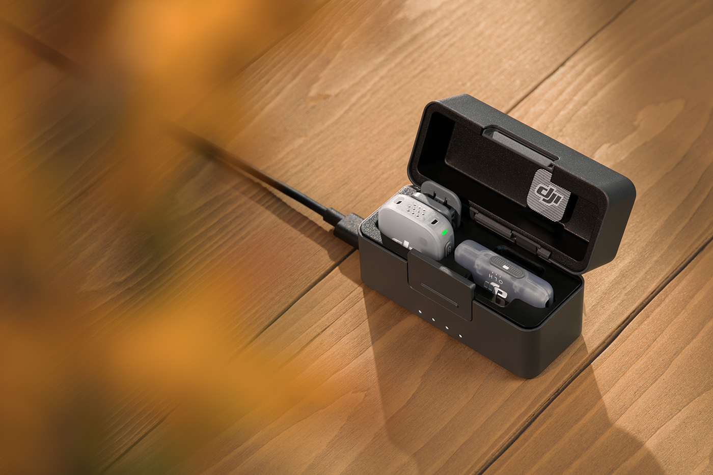 Charging case for the Mini 2