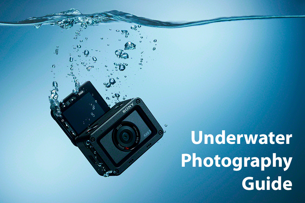 A guide to underwater photography