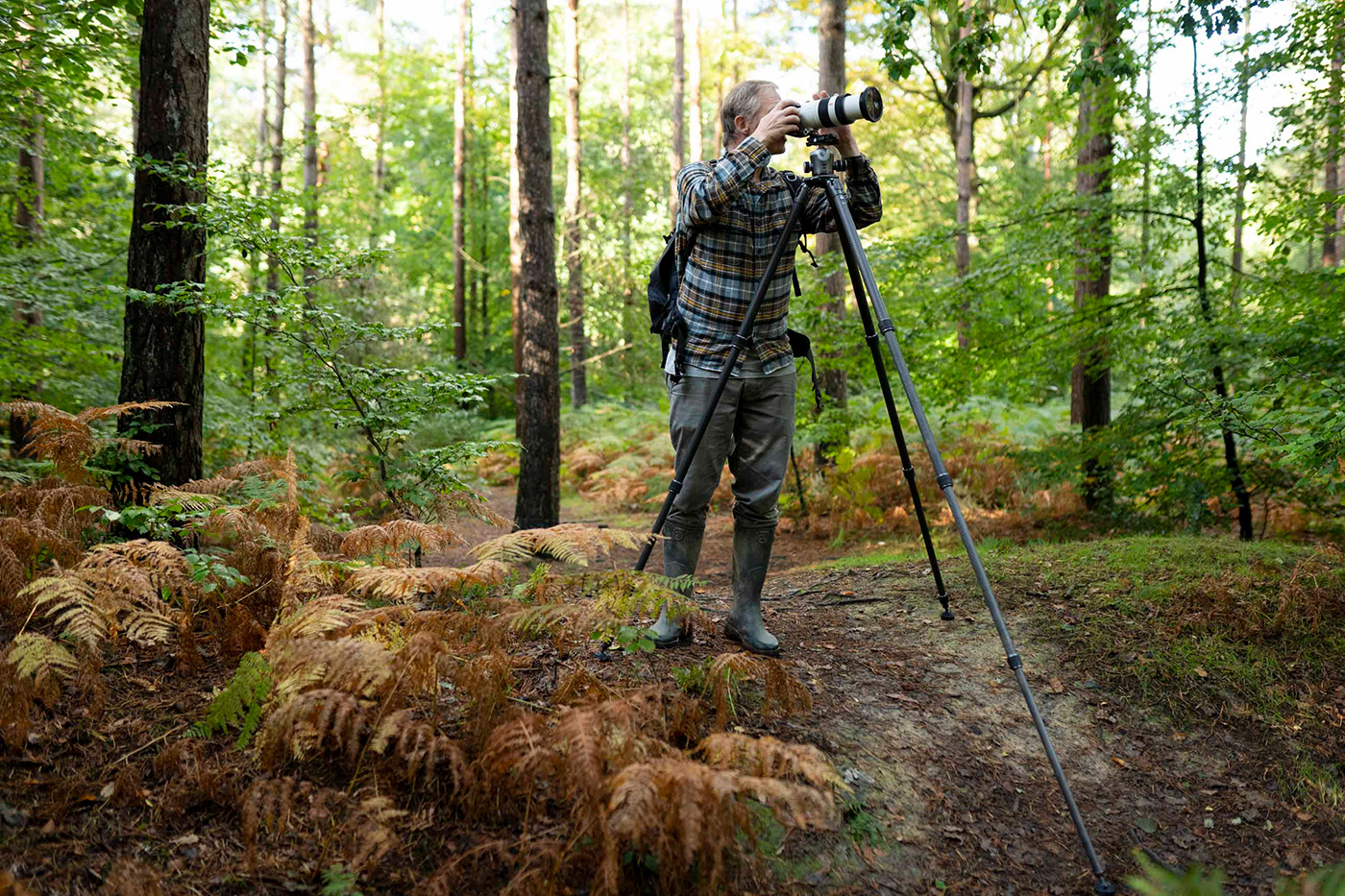 Extra long Gitzo tripod legs