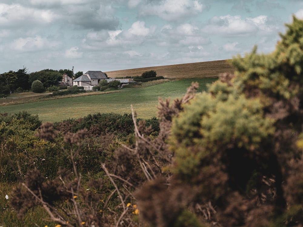 GFX 50S II sample image in contrast setting