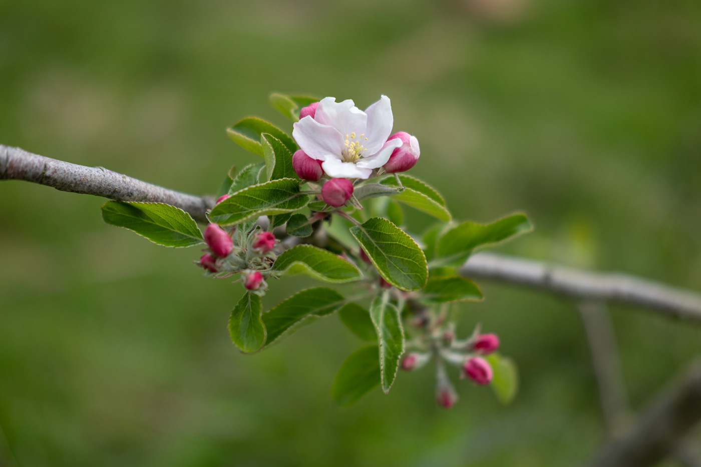 Sample 08 with XF 35mm f/2 R WR. Camera settings: f/2. 1/2500 sec. ISO 125