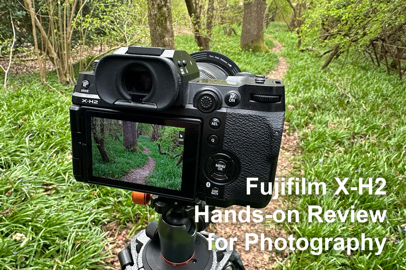 Fujifilm X-H2 Hands-on Review for Photography