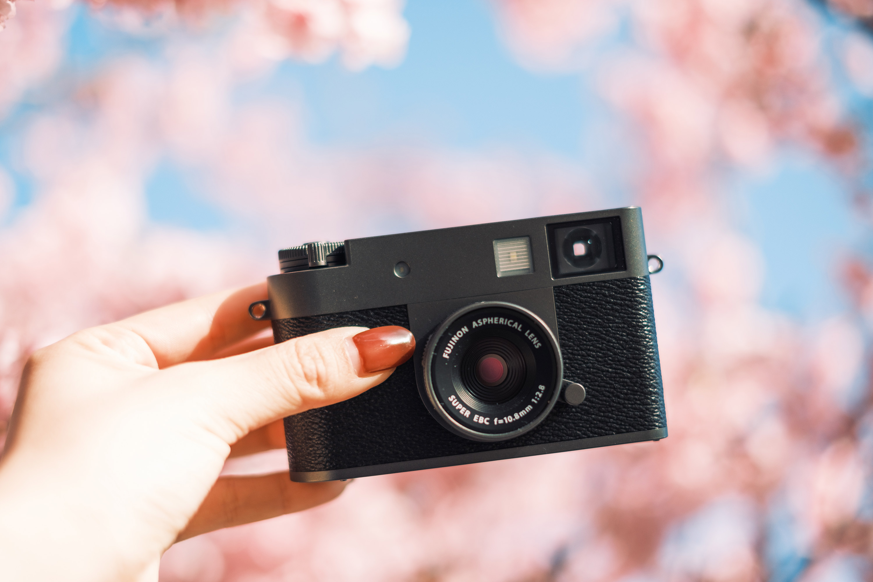 Camera held up in blossom colours