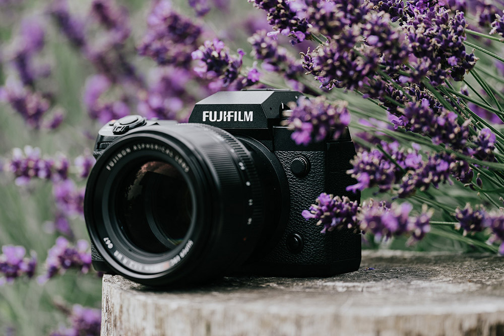 Fujifilm camera among the lavendar