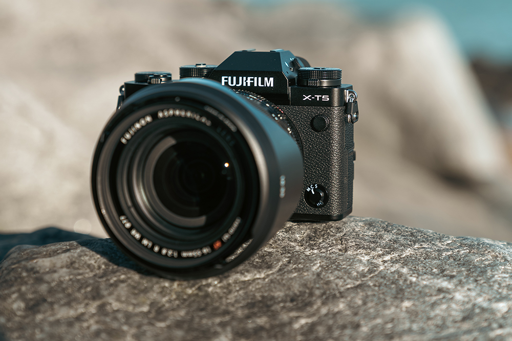 Out in the wild the new X-T5 camera and 30mm macro lens