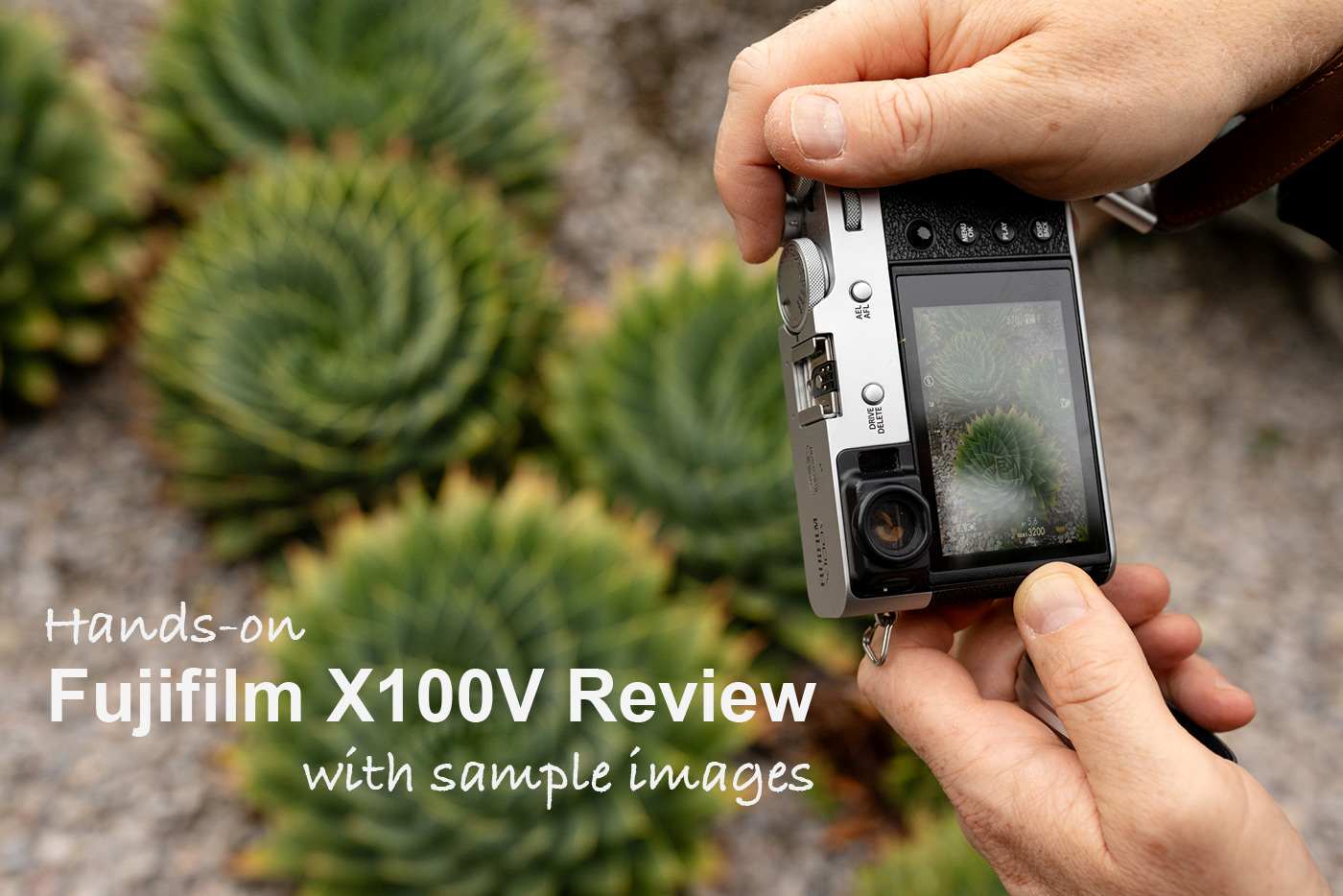 Hands-on Fujifilm X100V Review With Samples