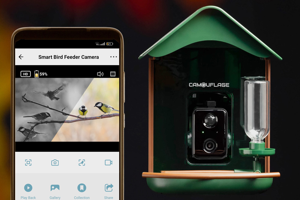 Camouflage EZ BirdFeed