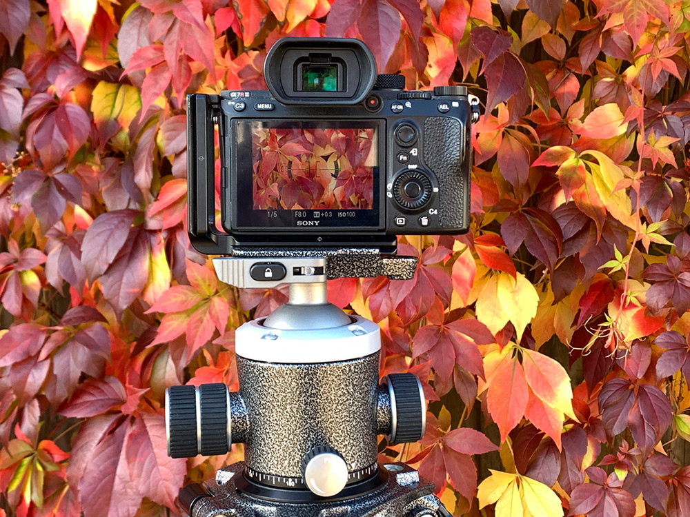Capturing autumn colour with beautifully crafted Gitzo materials