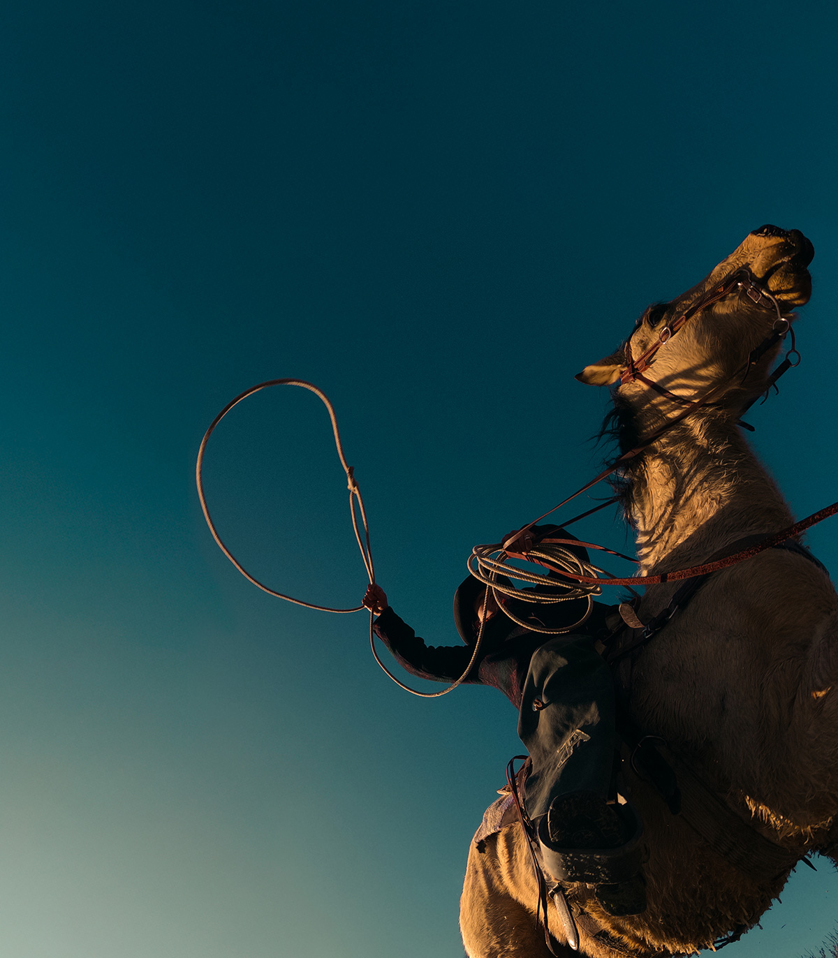 MISSION 1 PRO ILS  Supplied by GoPro