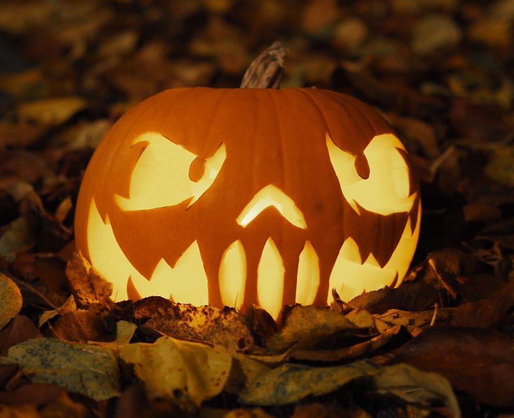 Pumpkin in leaves