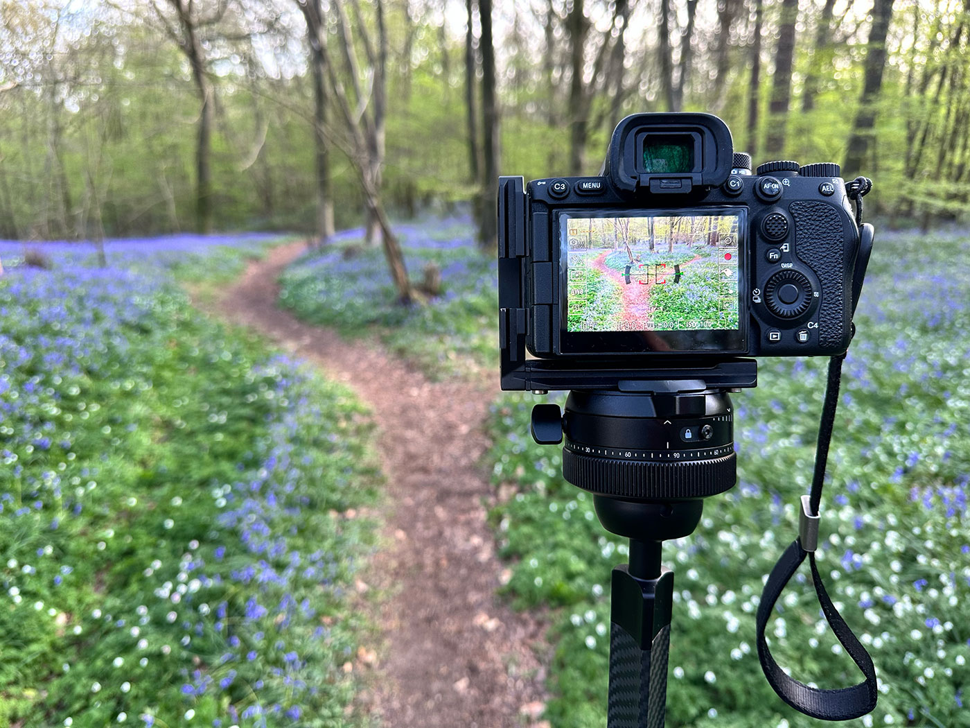 Focusing on the Pro Ball Head during landscape photography